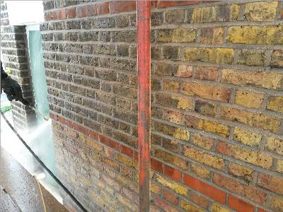 Moss and Algae Remover