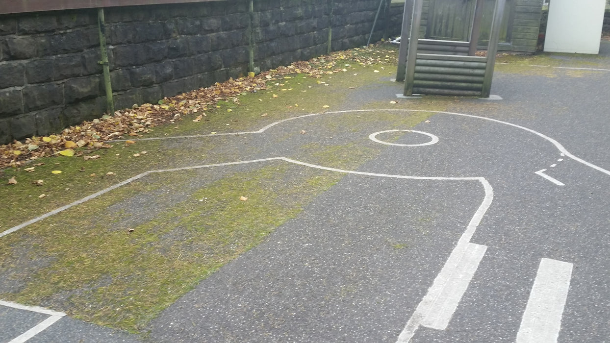 Moss and Algae Remover