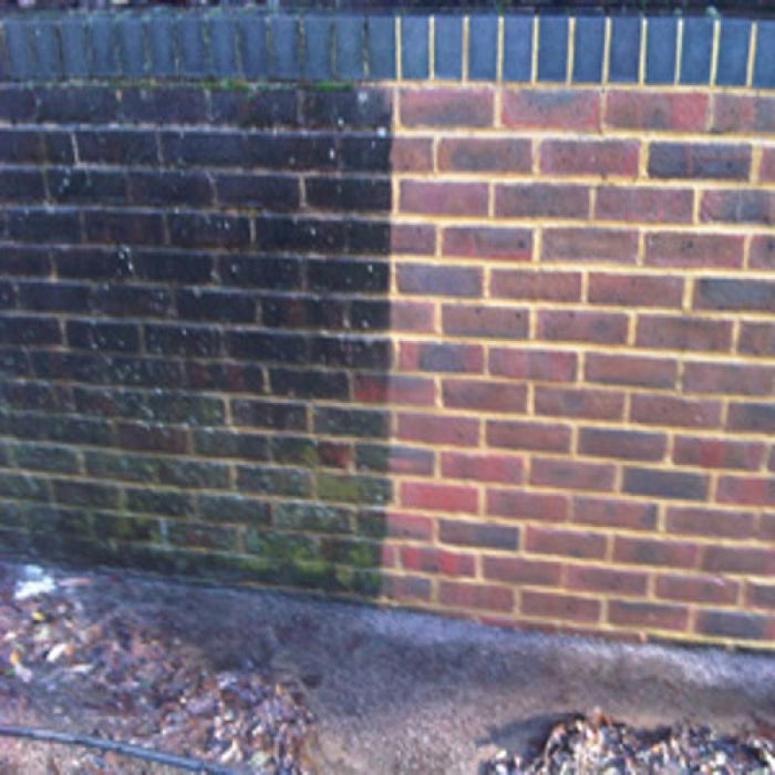 Moss and Algae Remover