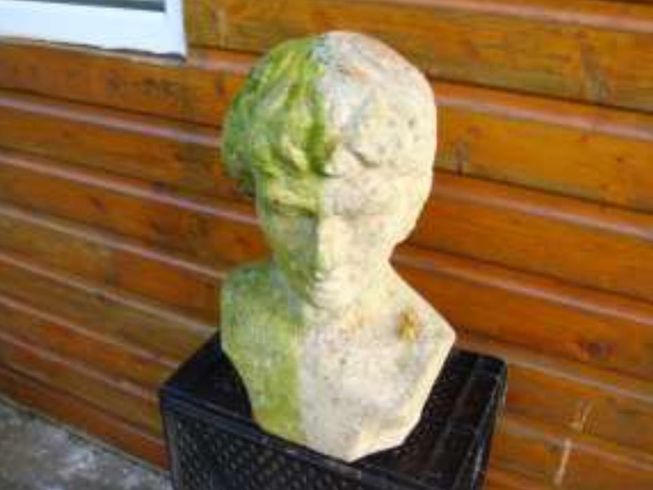 Moss and Algae Remover